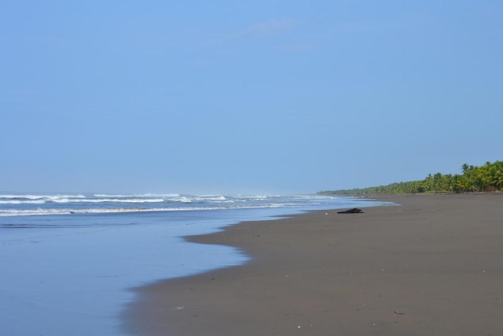 Hotel La Isla Parrita Zewnętrze zdjęcie